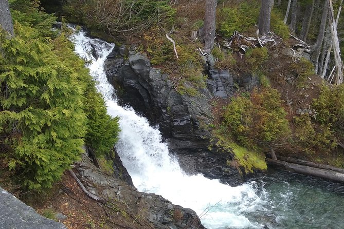 Mt Rainier Private Tour Experience in SUV - The Paradise Portion: 5 Hours of Views, Vistas, and Short Walking