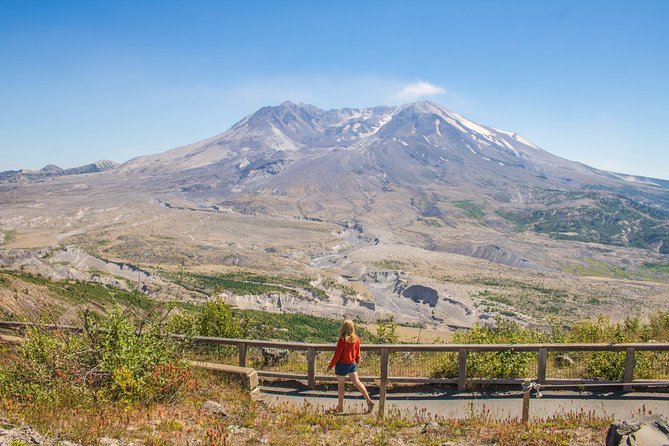 Mt. St. Helens National Monument from Seattle: All-Inclusive Small-Group Tour - Stop 2: Lewis and Clark State Park old growth forest hike