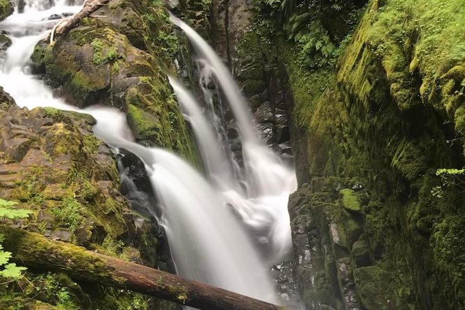 Olympic National Park Day Tour from Seattle - Key Highlights You Should Care About