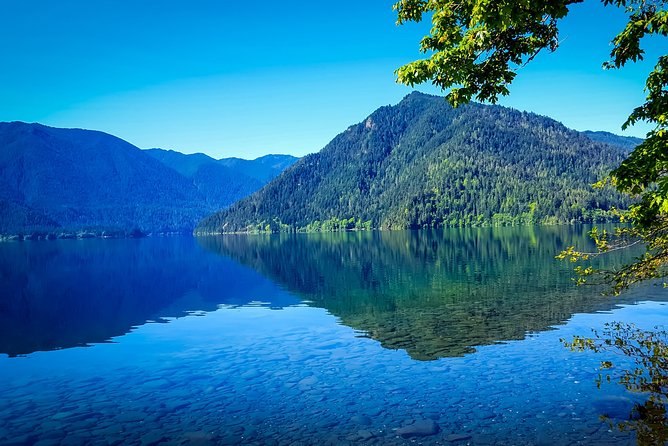 Olympic National Park Day Tour from Seattle - Seattle to Olympic Without Driving: Why This Tour Feels Like a Deal