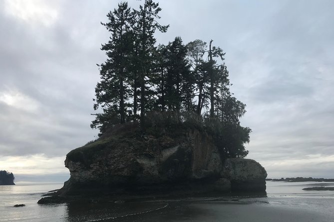 Olympic National Park Day Tour from Seattle - Jamestown S’Klallam: A Practical Food Stop That Keeps the Day Moving