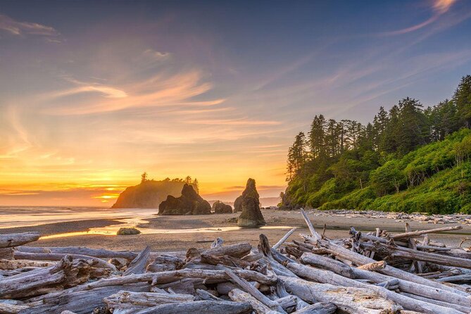 Olympic National Park Small Group Day Tour w/Scenic Ferry 2CanGo - Key Highlights You’ll Actually Care About
