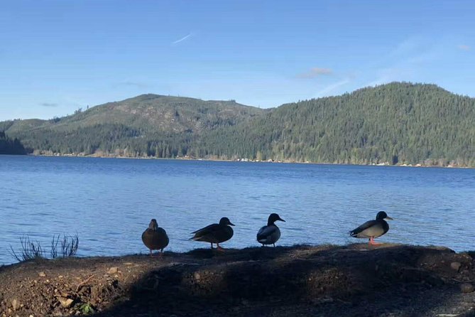 Olympic National Park Small Group Day Tour w/Scenic Ferry 2CanGo - Ediz Hook and East Beach: Ocean Views When the Park Road Can’t Run