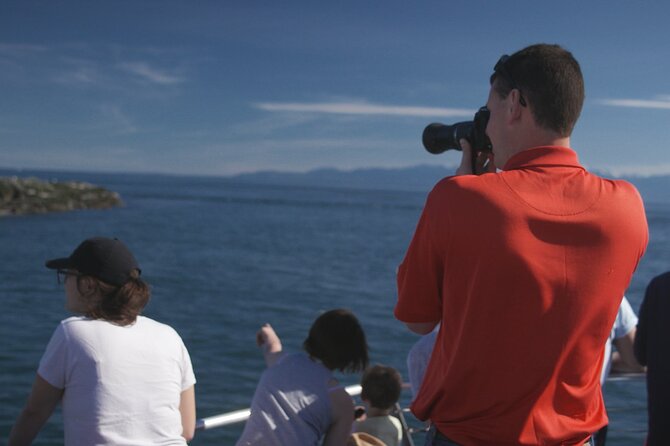 Only Wildlife and Whale Watching Tour Leaving from Seattle - Price and value: what $153.64 buys you on the water