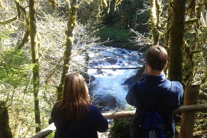 Private Cascade Mountains and Waterfalls Tour from Seattle - The Big Picture: A Private Cascades Day With Real Stops
