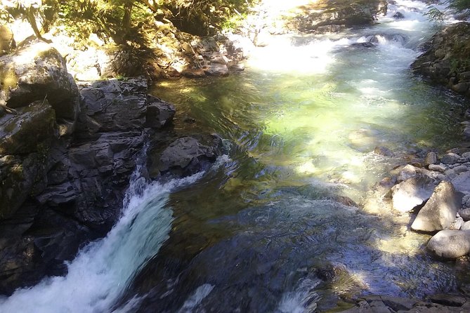 Private Cascade Mountains and Waterfalls Tour from Seattle - Stop 4: Franklin Falls and the Trail-Choice Flexibility