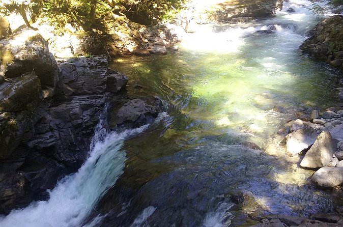 Private Cascade Mountains and Waterfalls Tour from Seattle - What’s Included vs. What You Need to Plan