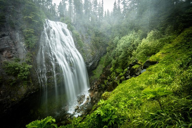 Private Mt Rainier National Park Day Trip from Seattle - Your Day Starts With Pickup and a Park-Focused Drive