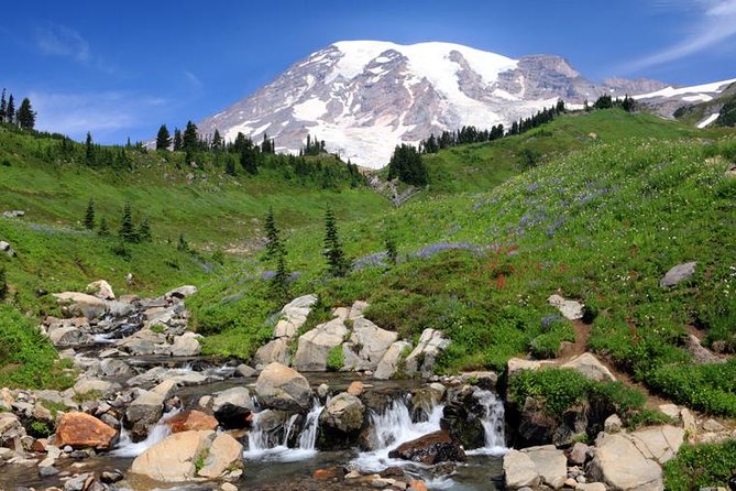 Private Mt Rainier National Park Day Trip from Seattle - Reflection Lakes: The “Mirror Lake” Moment (If the Wind Behaves)