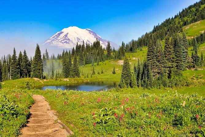 Private Mt Rainier National Park Tour in SUV - Key things that make this tour worth your time