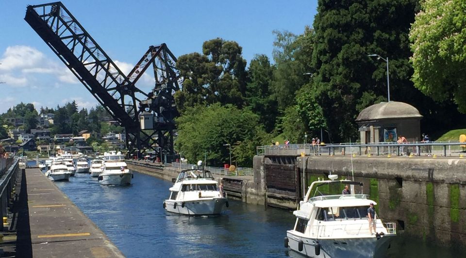 Seattle: 3-Hour City Highlights Tour - Key Highlights to Know Before You Go