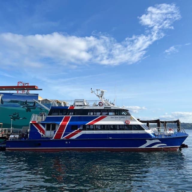 Seattle: Half-Day Wildlife and Whale Watching Cruise - Price value: $138 and what you’re actually paying for