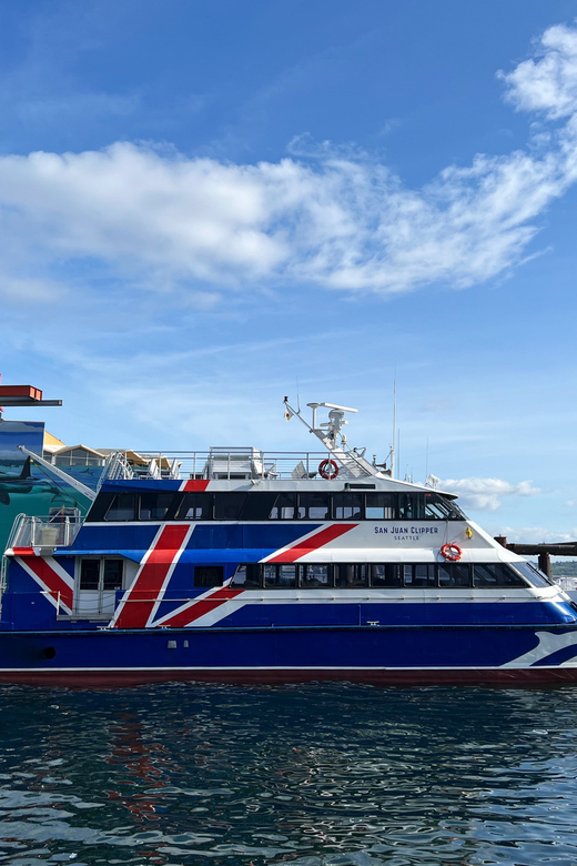 Seattle: Half-Day Wildlife and Whale Watching Cruise - What wildlife you might spot in the Salish Sea