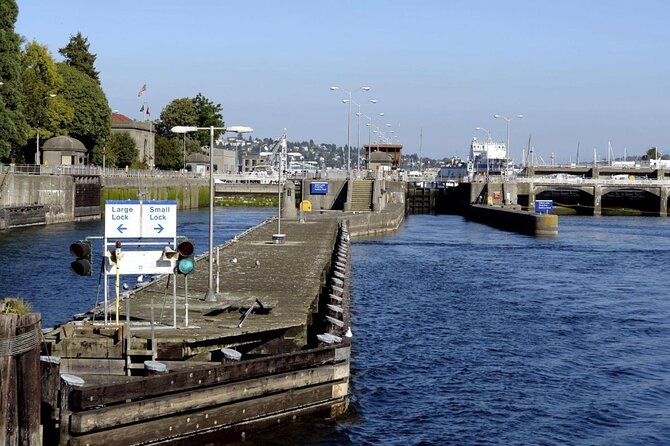 Seattle Locks Cruise - Key things I’d watch for before you go