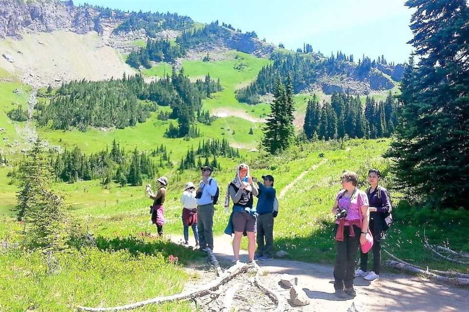 Seattle: Mount Rainier Park All-Inclusive Small Group Tour - Who this tour suits best (and who should pick another plan)