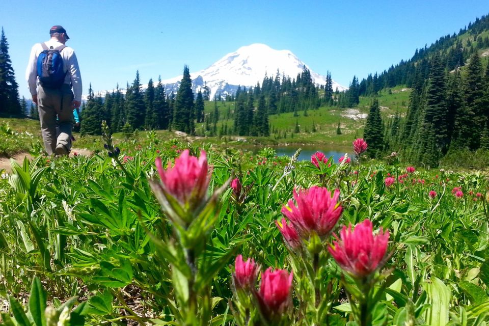 Seattle: Mount Rainier Park All-Inclusive Small Group Tour - Lunch breaks that don’t feel rushed (and what’s actually included)
