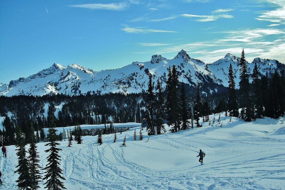 Seattle: Mount Rainier Park All-Inclusive Small Group Tour - Timing and pacing: 10.5 hours that still feel like a full day