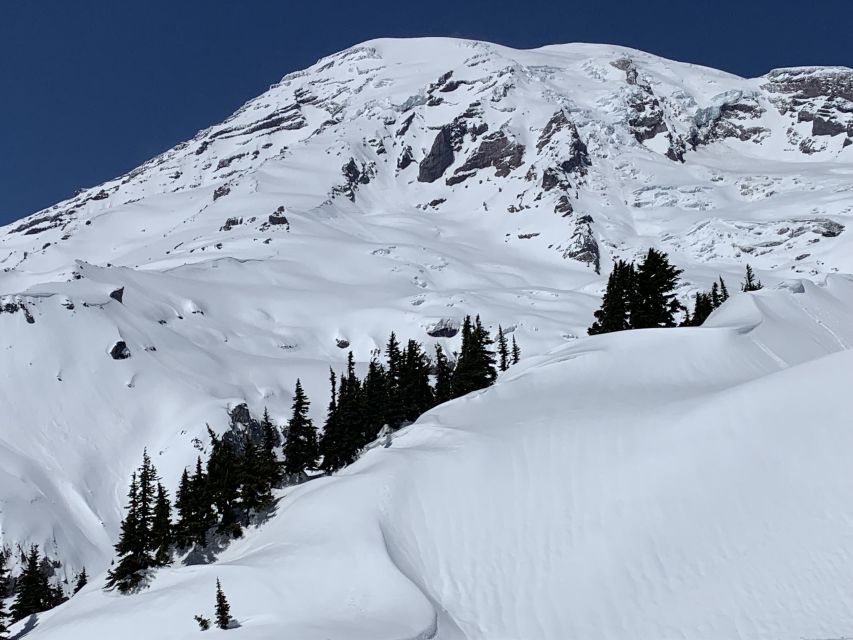 Seattle: Mt. Rainier Park Guided Full-Day Tour - Key Things I’d Plan Around