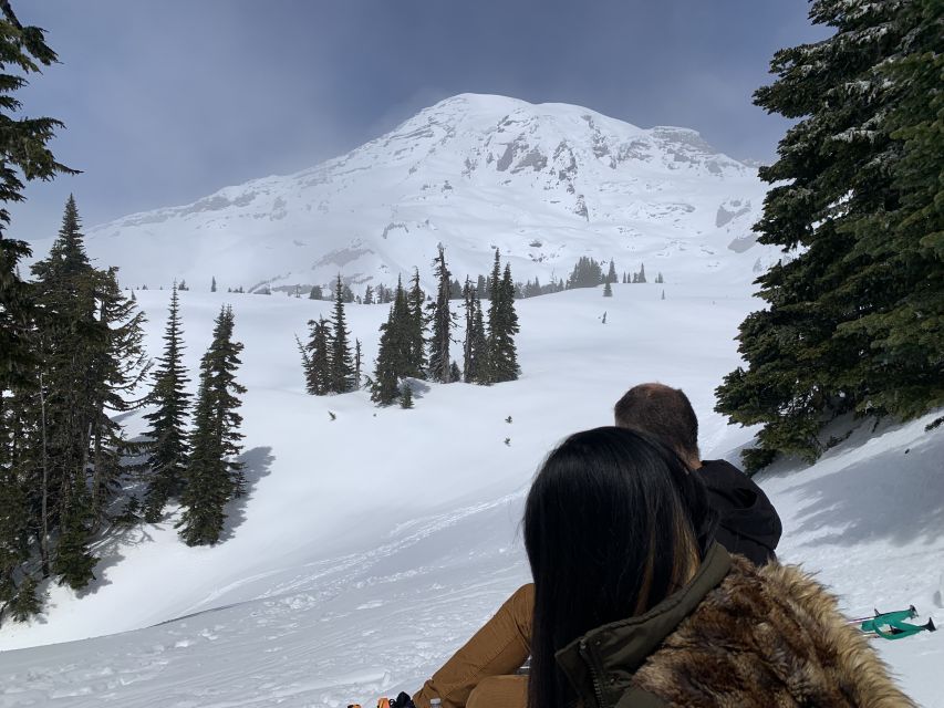 Seattle: Mt. Rainier Park Guided Full-Day Tour - The Park Portion: glaciers, waterfalls, and forest walking that actually feels varied