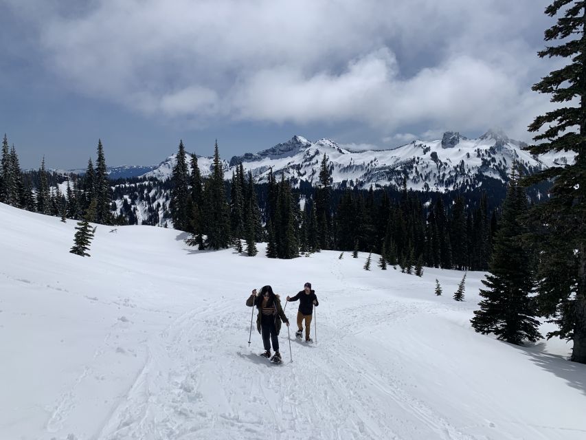 Seattle: Mt. Rainier Park Guided Full-Day Tour - Rainier Viewpoints: why the photo stops are more than a photo stop
