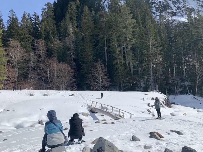 Seattle: Mt. Rainier Park Guided Full-Day Tour - Snow Season Details: crampons, snowshoes, and staying upright