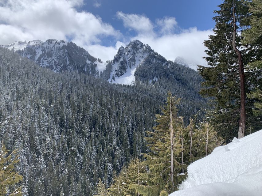 Seattle: Mt. Rainier Park Guided Full-Day Tour - Who This Tour Fits Best (and who should skip)