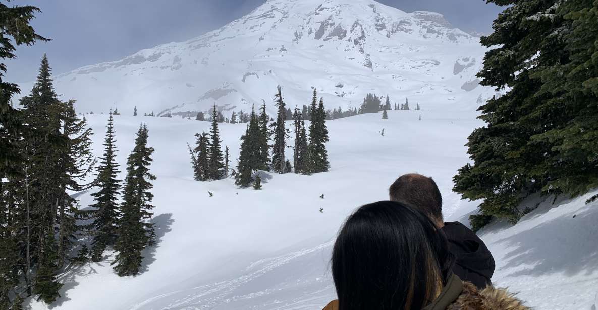 Seattle: Mt. Rainier Park Guided Full-Day Tour - A Small-Group Day Means Fewer Speed Bumps