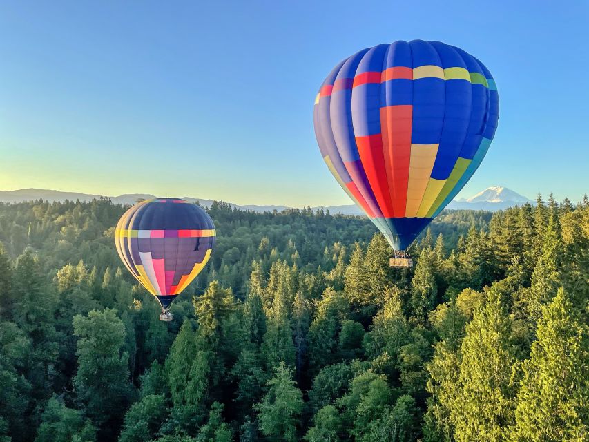 Seattle: Mt. Rainier Sunrise Hot Air Balloon Ride - Landing, champagne toast, and the after-flight feel