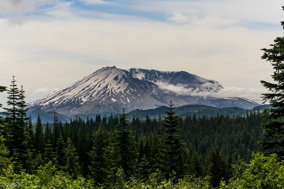 Seattle: Mt. St. Helens National Monument Small Group Tour - What’s included in the $326 price, and what that means for value