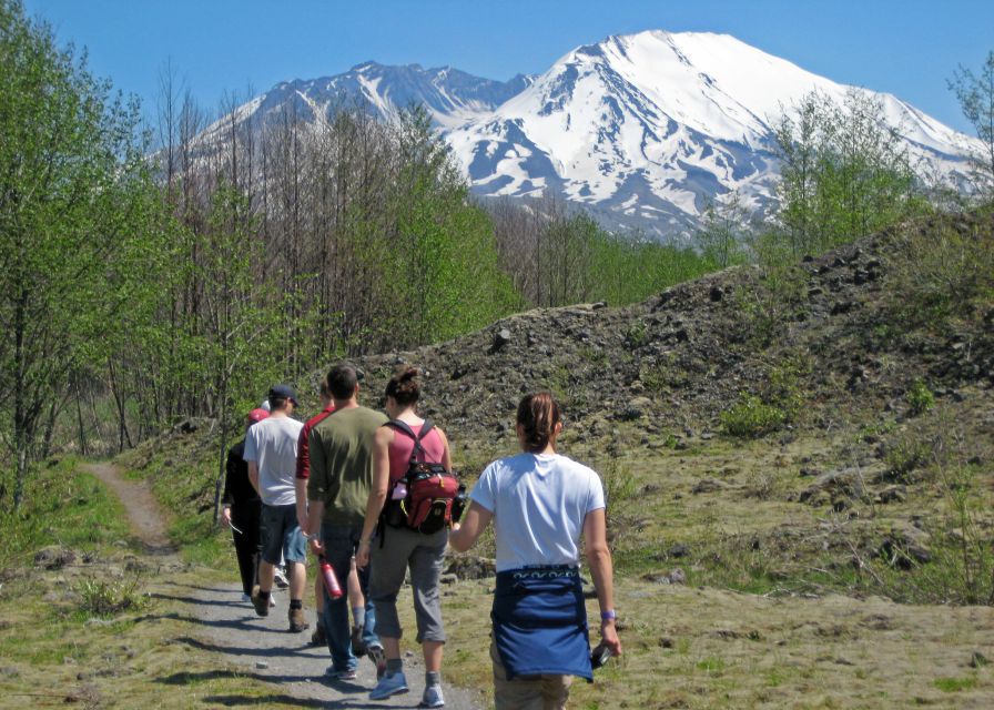 Seattle: Mt. St. Helens National Monument Small Group Tour - Lewis & Clark State Park: old-growth context and a guided walking pace