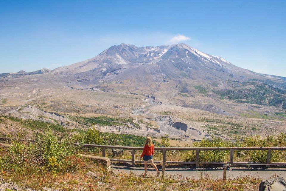 Seattle: Mt. St. Helens National Monument Small Group Tour - On the mountain: walks, crater-focused viewpoints, and picnic lunch