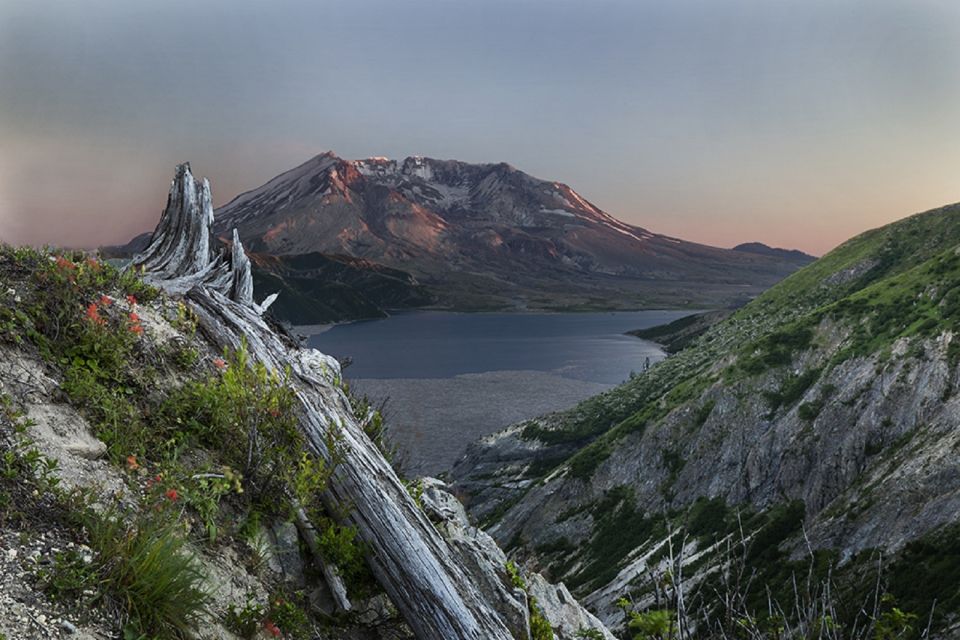 Seattle: Mt. St. Helens National Monument Small Group Tour - Small-group structure and van time: how comfort affects your day