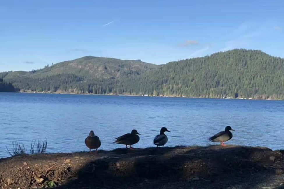 Seattle: Olympic National Park Day Tour with Scenic Ferries - Key highlights worth your attention