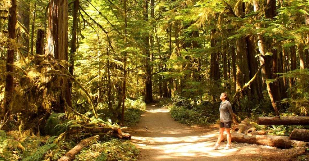 Seattle: Olympic National Park Small-Group Tour - Key Things to Know Before You Go