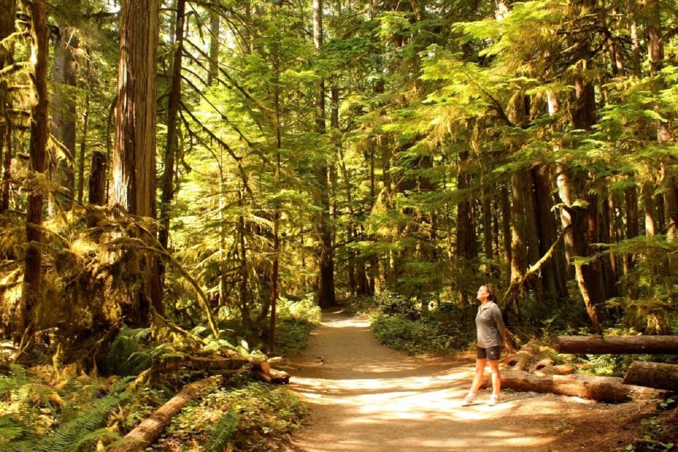 Seattle: Olympic National Park Small-Group Tour - Lake Crescent and Lake Quinault: Calm Water With Real Drama