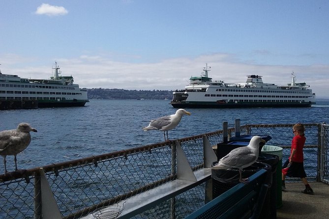 Seattle Private Tour for 2-5 - Space Needle in 15 minutes: views plus a reality check