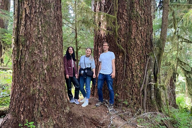 Seattle: Rainforest, Beach, and Olympic National Park Highlights - Snacks and Drinks: Why Included Food Matters on a Long Van Day