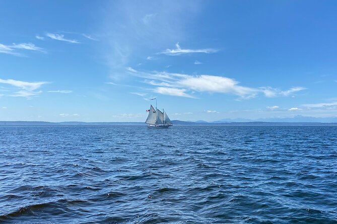 Seattle Sailing Harbor Tour - The real value of $39: skyline time without the long day