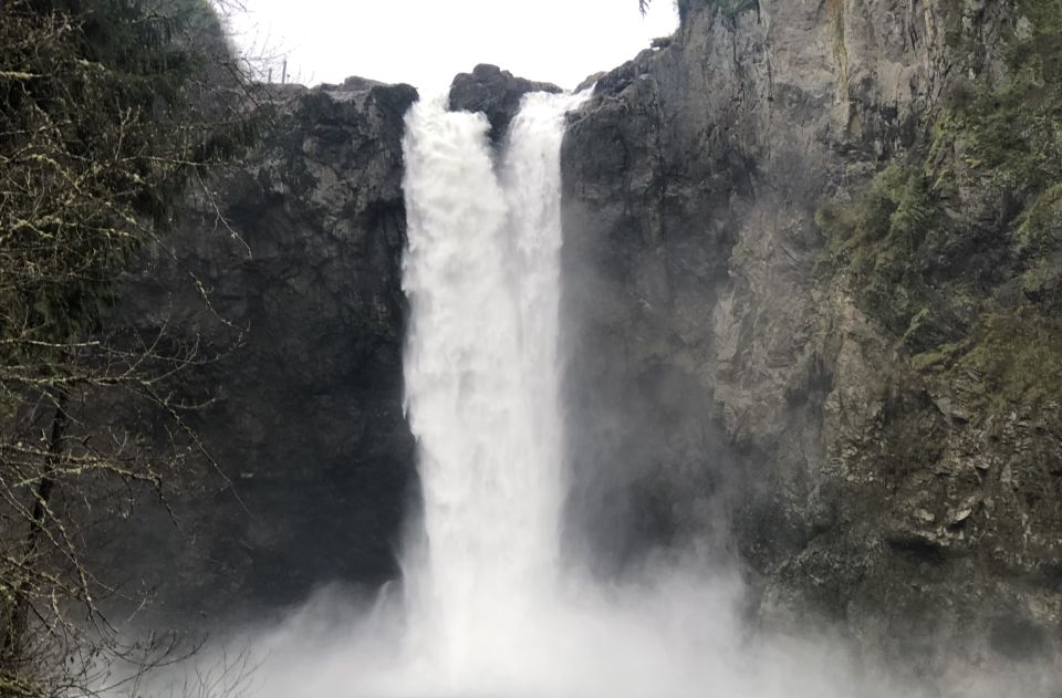 Seattle: Snoqualmie Falls and Twin Falls Guided Tour - Twin Falls hike: choose easy or moderate and plan for real elevation