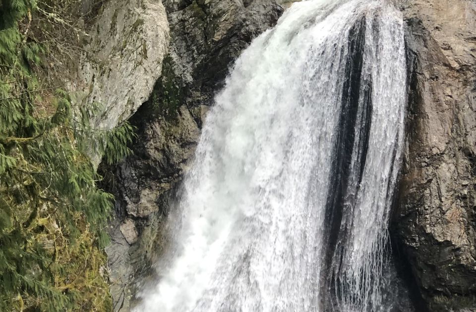 Seattle: Snoqualmie Falls and Twin Falls Guided Tour - Snoqualmie Falls: power, viewpoints, and time for photos