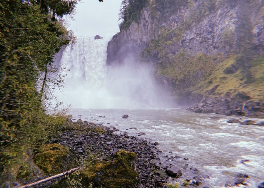 Seattle: Snoqualmie Falls and Twin Falls Guided Tour - Rainforest lessons you can actually use (not just trivia)