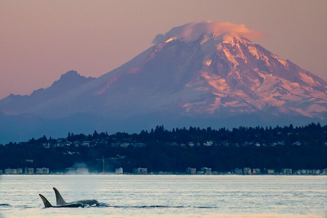 Seattle Sunset Sail BYOB - The weather reality: windchill and when you’ll get the best light