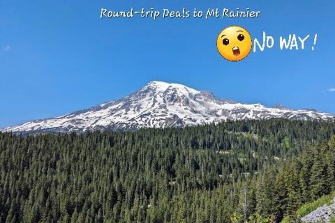 Seattle, WA Hourly Rental Around Town & Sightseeing - The driver experience: comfort, patience, and help at the curb