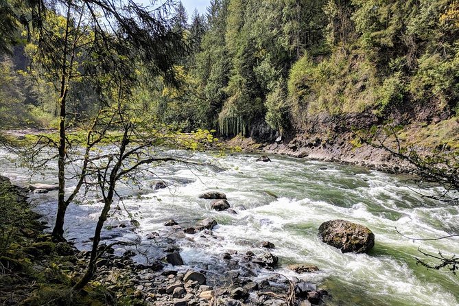 Seattle Wine and Waterfall Luxury Small-Group Day Tour with Lunch - Woodinville Wine Country: Three Guided Tastings with Fees Included