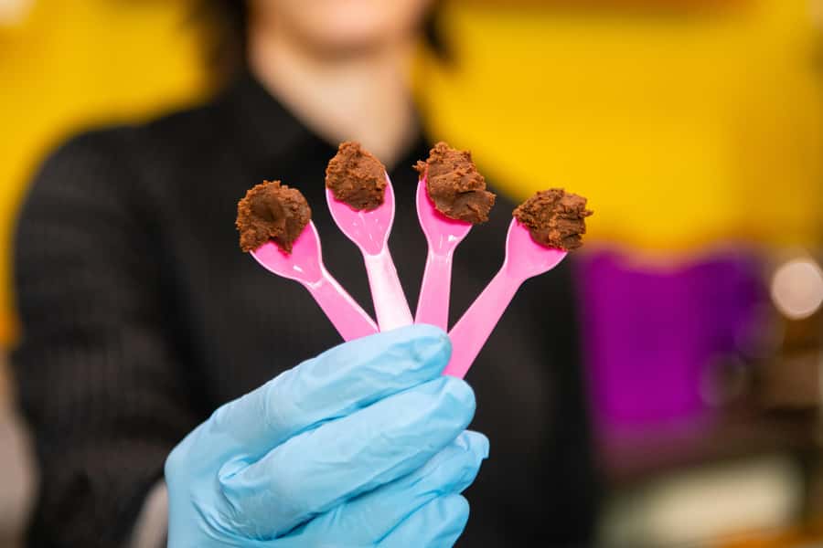 Seattle: Wine, Cheese and Chocolate Pairing Tour - The Tasting Flow: How This Tour Guides You Through 150 Minutes of Pairing