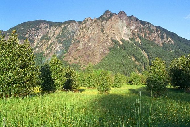 Seattle Wine & Snoqualmie Falls Highlights Tour - Snoqualmie Falls: your 30-minute photo window at 268 feet