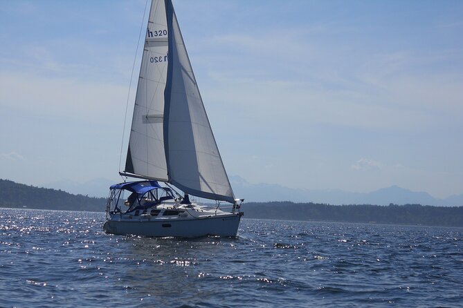 Seattle's Best Private Sailing Adventure on the Puget Sound BYOB! - Wildlife spotting rules: seals, sea lions, porpoises, and occasional whales