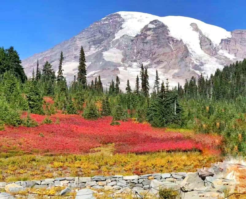 Seattle:Small Group Mount Rainier National Park 1-Day Tour - Winter itinerary: Longmire plus a Wonderland Trail slice when roads and snow rules change