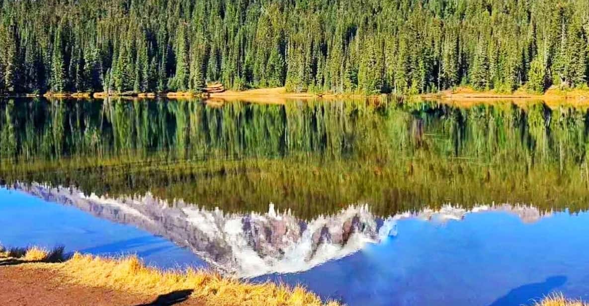 Seattle:Small Group Mount Rainier National Park 1-Day Tour - What the guide actually does (and why it makes the stops better)