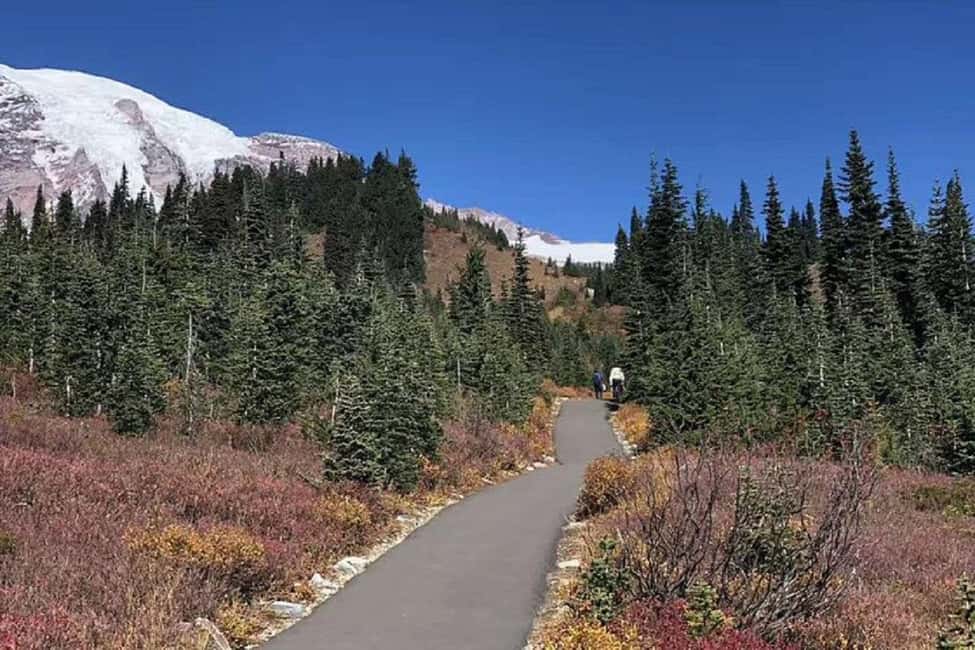 Seattle:Small Group Mount Rainier National Park 1-Day Tour - Should you book this Seattle to Mount Rainier day tour?